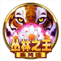 《叢林之王》BNG老虎機遊戲詳細介紹