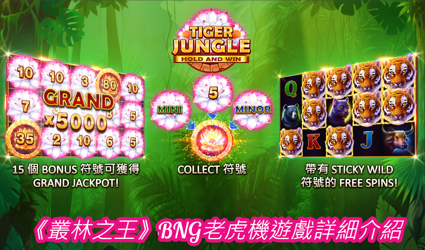《叢林之王》BNG老虎機遊戲詳細介紹