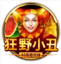 《狂野小丑》BNG老虎機遊戲詳細介紹