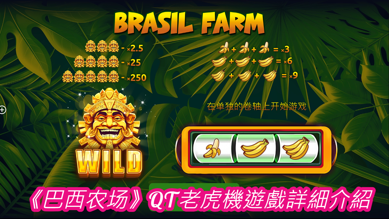 《巴西农场》QT老虎機遊戲詳細介紹